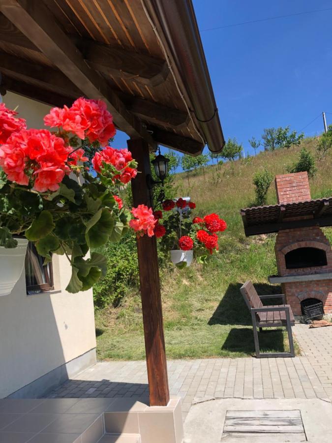 Cabana 7 Brazi Poiana Mărului Εξωτερικό φωτογραφία