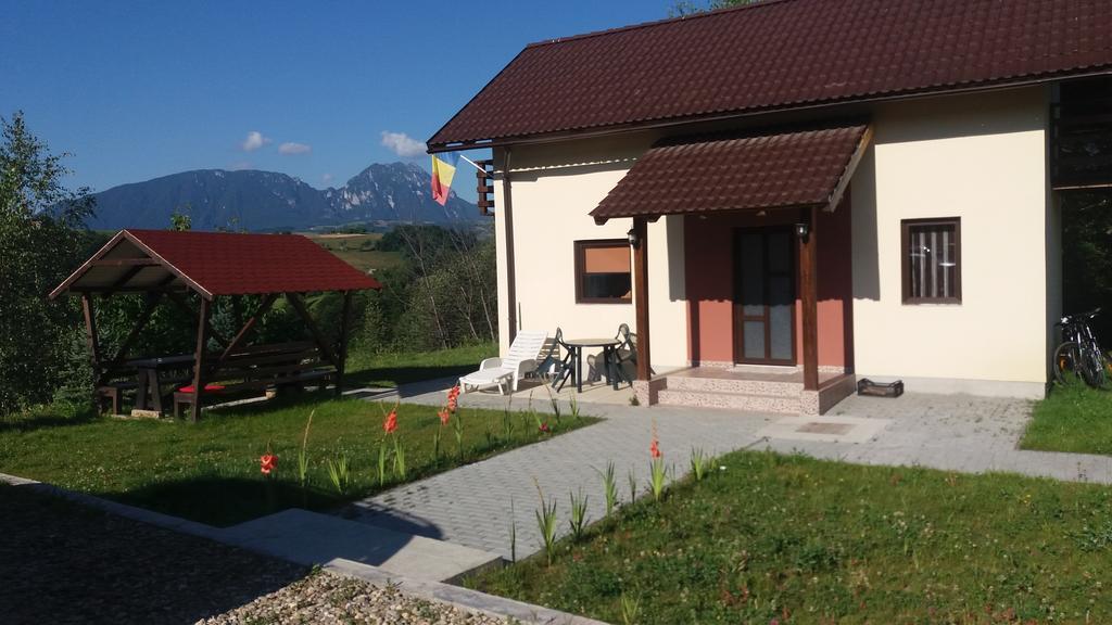 Cabana 7 Brazi Poiana Mărului Εξωτερικό φωτογραφία