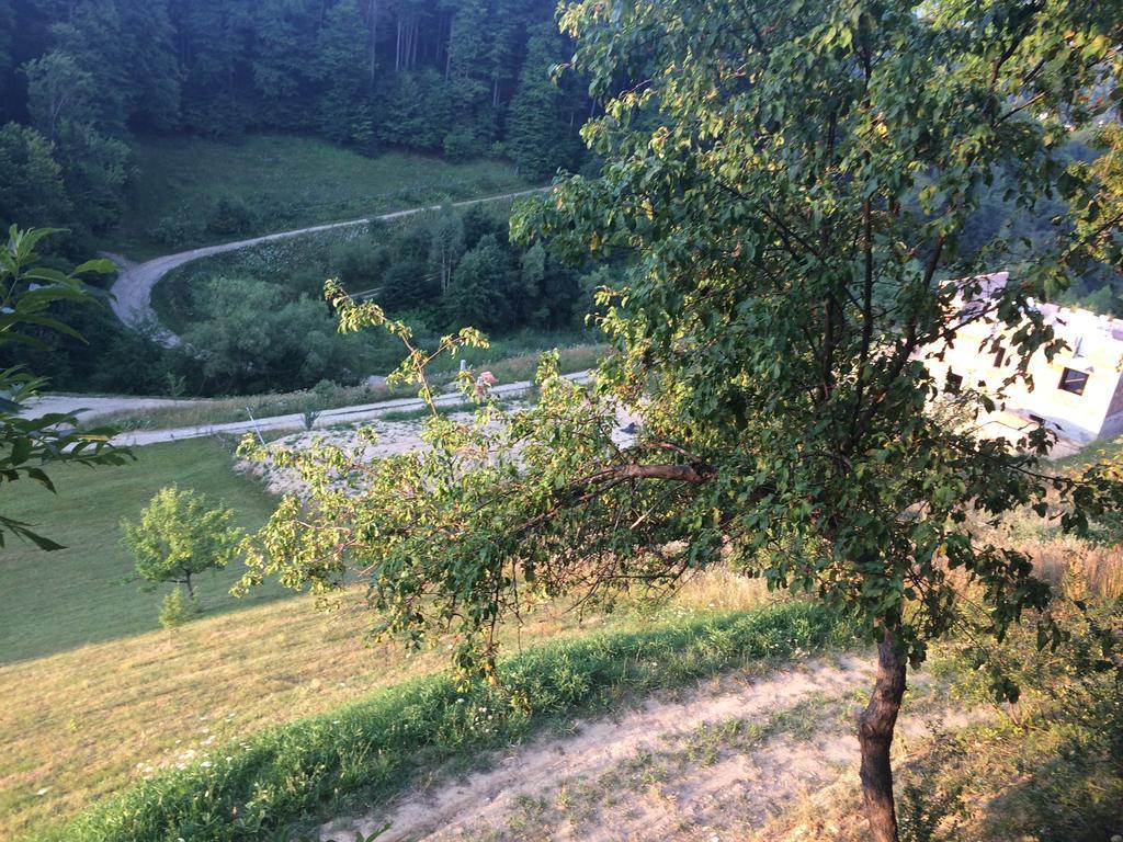Cabana 7 Brazi Poiana Mărului Εξωτερικό φωτογραφία
