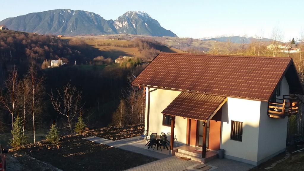 Cabana 7 Brazi Poiana Mărului Εξωτερικό φωτογραφία