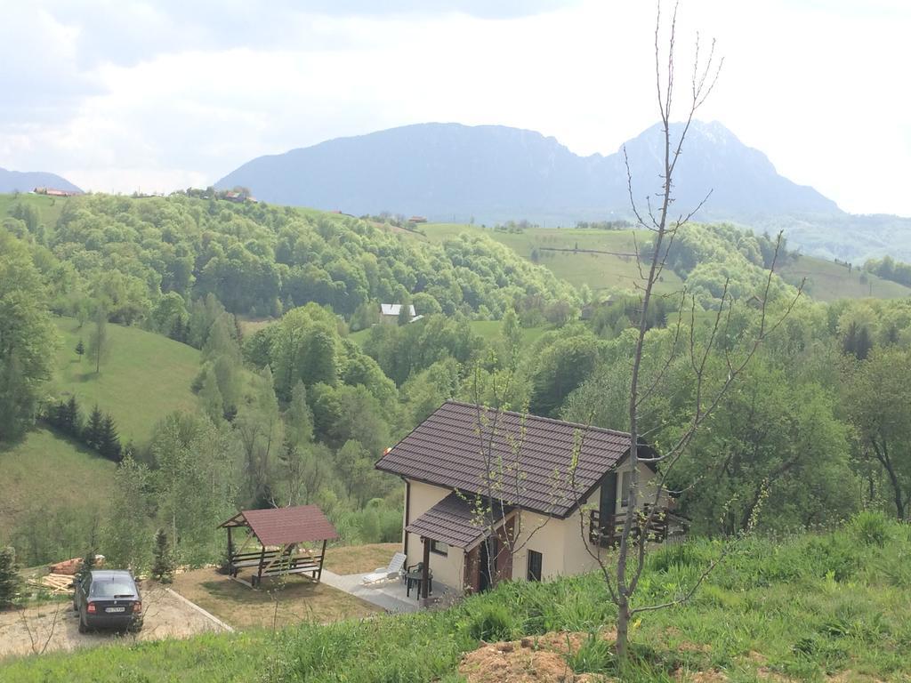 Cabana 7 Brazi Poiana Mărului Εξωτερικό φωτογραφία