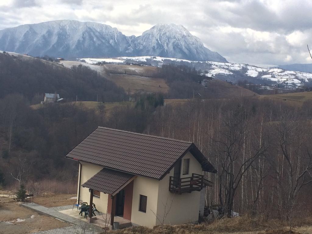 Cabana 7 Brazi Poiana Mărului Εξωτερικό φωτογραφία