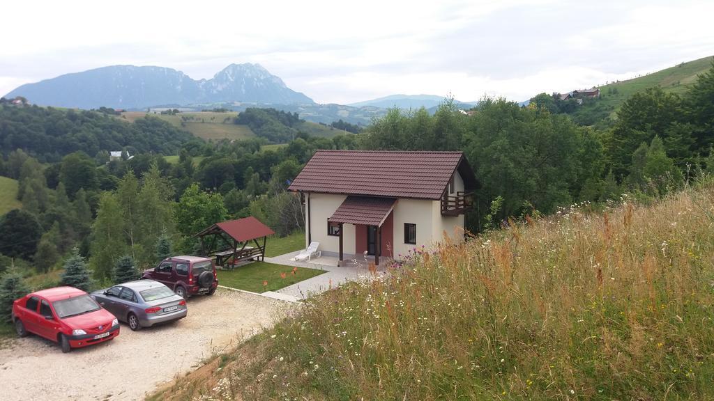 Cabana 7 Brazi Poiana Mărului Εξωτερικό φωτογραφία