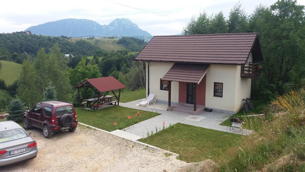 Cabana 7 Brazi Poiana Mărului Εξωτερικό φωτογραφία