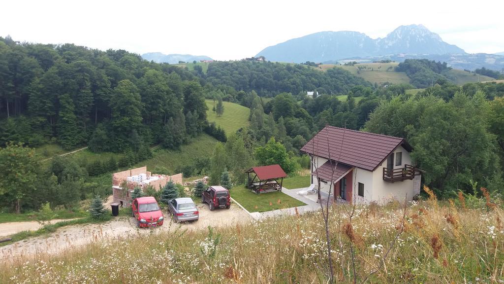 Cabana 7 Brazi Poiana Mărului Εξωτερικό φωτογραφία