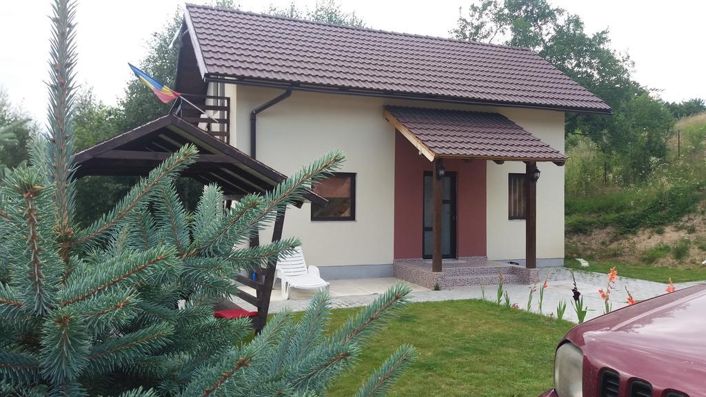 Cabana 7 Brazi Poiana Mărului Εξωτερικό φωτογραφία