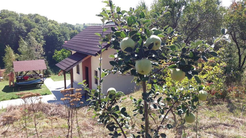 Cabana 7 Brazi Poiana Mărului Εξωτερικό φωτογραφία