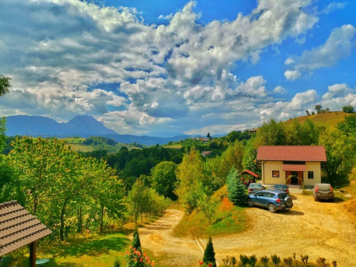Cabana 7 Brazi Poiana Mărului Εξωτερικό φωτογραφία